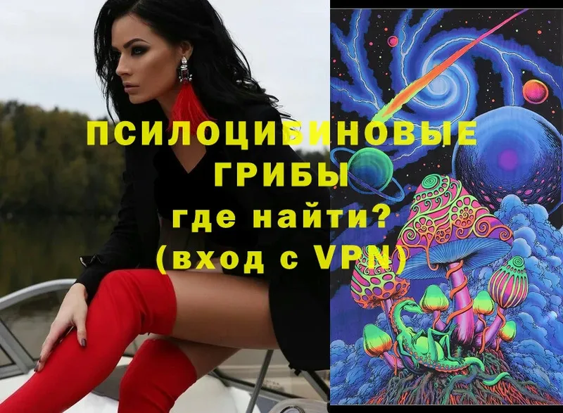 omg ссылка  Белогорск  Псилоцибиновые грибы MAGIC MUSHROOMS 